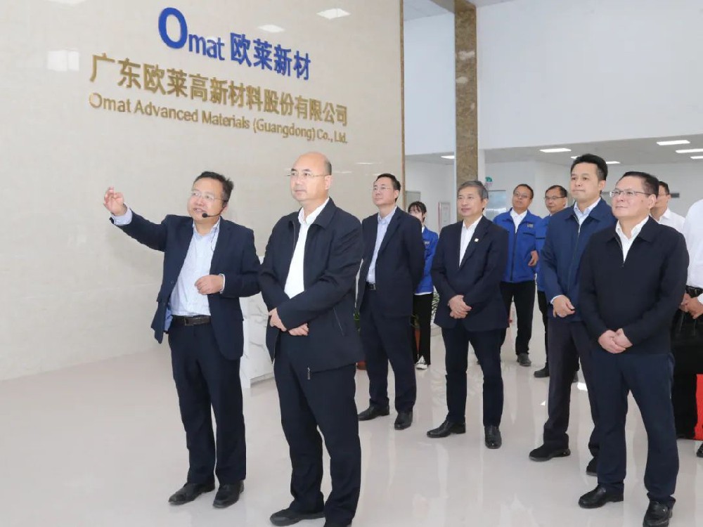 Wang Ruijun Goes Deep into Enterprises for Research