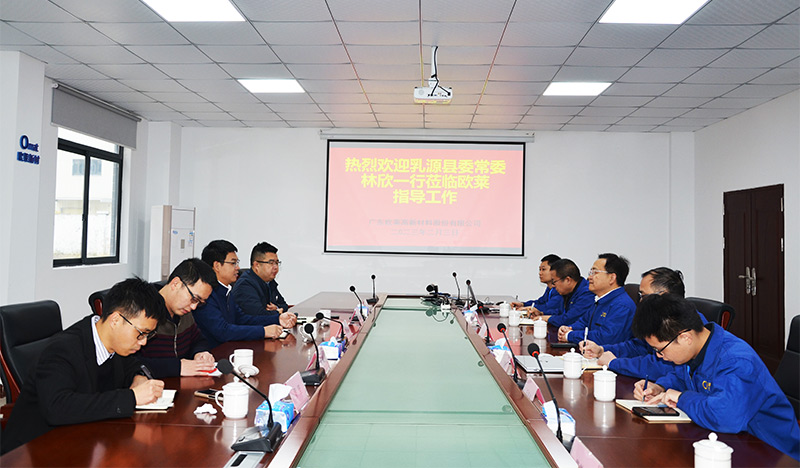 Ruyuan County Standing Committee Member and Executive Vice Magistrate Lin Xin Visits Omat to Coordinate Project Progress