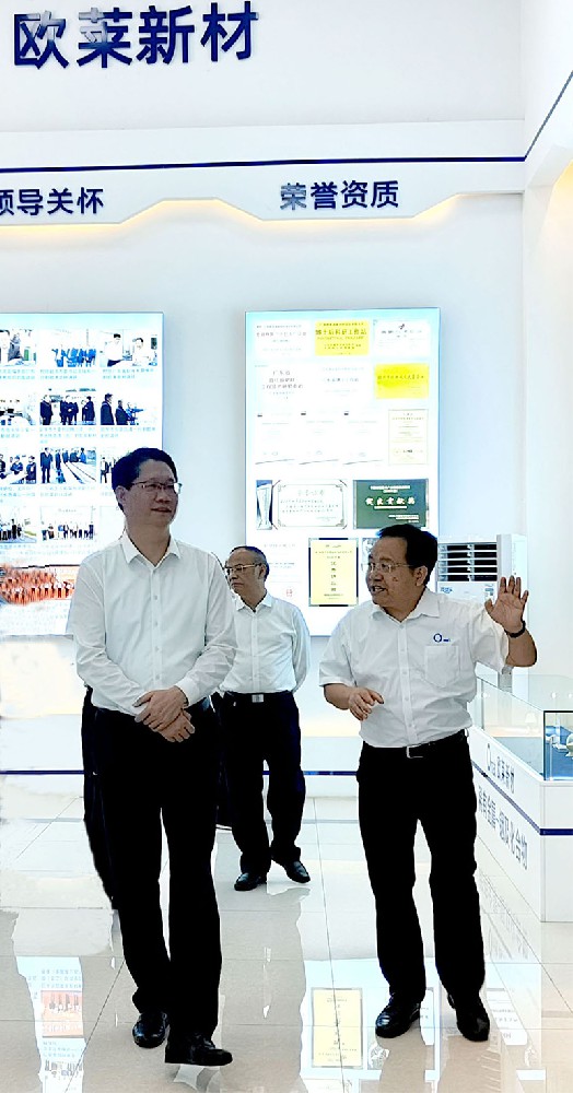 Municipal Standing Committee Member and Executive Vice Mayor Zou Zhenyu Visits Omat for Research