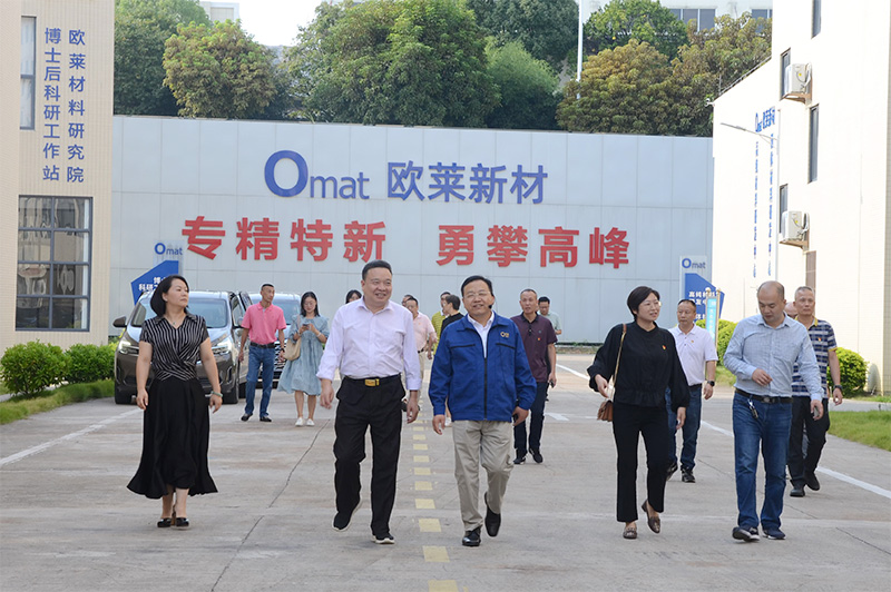 Shaoguan Government Deputy Secretary-General and Petition Bureau Chief Chen Gang Leads a Team to Omat for a Themed Party-Day Activity