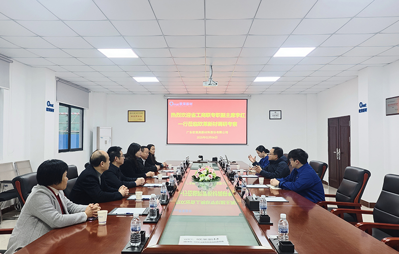 Li Hong, Full-Time Vice Chair of the Guangdong Federation of Industry and Commerce, Visits Omat for Research