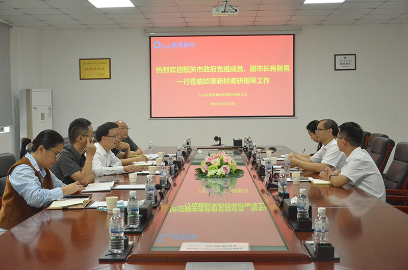 Shaoguan Vice Mayor Xiao Zhiyong and His Delegation Visit Omat for Research