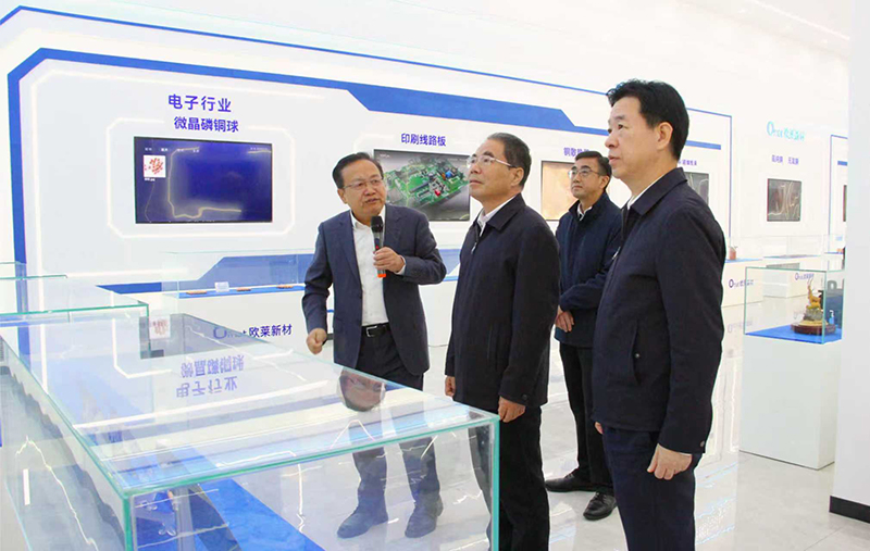 Ye Zhenqin, Deputy Secretary of the CPC Leadership Group and Vice Chair of the Guangdong Provincial People’s Congress Standing Committee, Visits Omat’s Ruyuan Base for Business-Environment Research