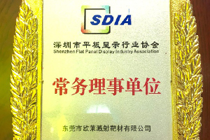 Standing Council Member, Shenzhen Flat-Panel Display Industry Association