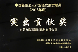 2018 China New Display Industry Chain Development Contribution Award