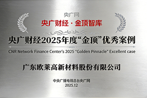 CNR Finance 2025 Annual "Golden Summit" Excellent Case