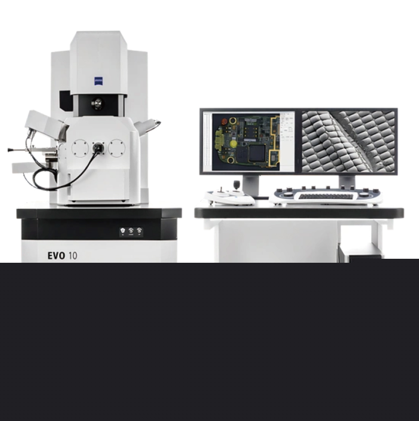 SEM Scanning Electron Microscope