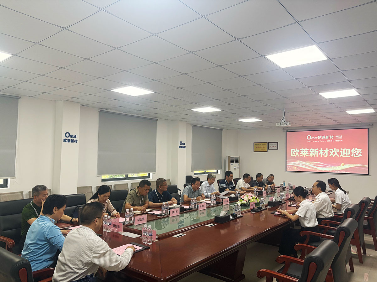 Members of the training class hold in-depth discussions with Omat on technological innovation, industrial chain support and talent development