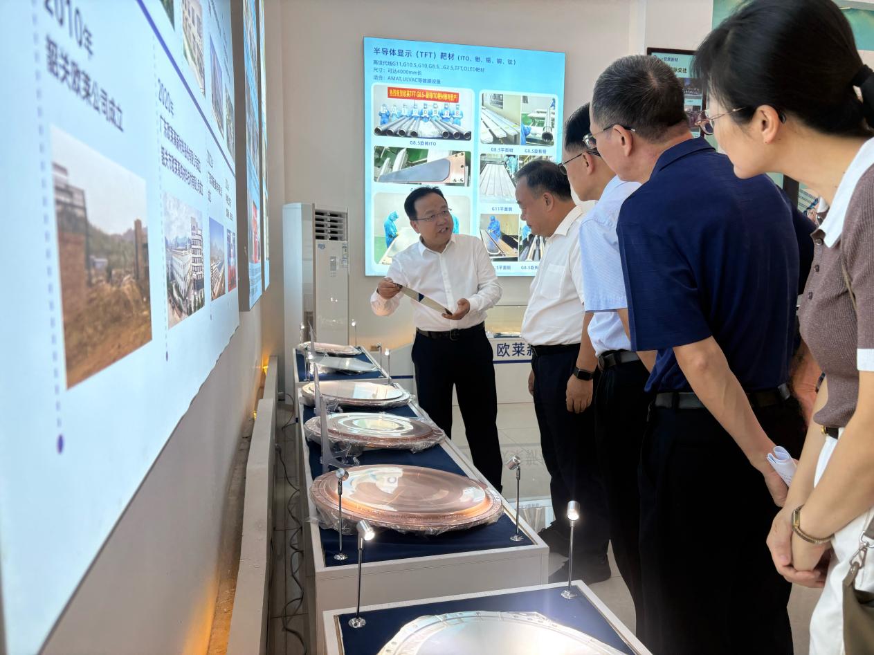 Wang Xuecheng, Vice Chairman of the Guangdong Provincial CPPCC, Visits Omat Advanced Materials for Research and Guidance