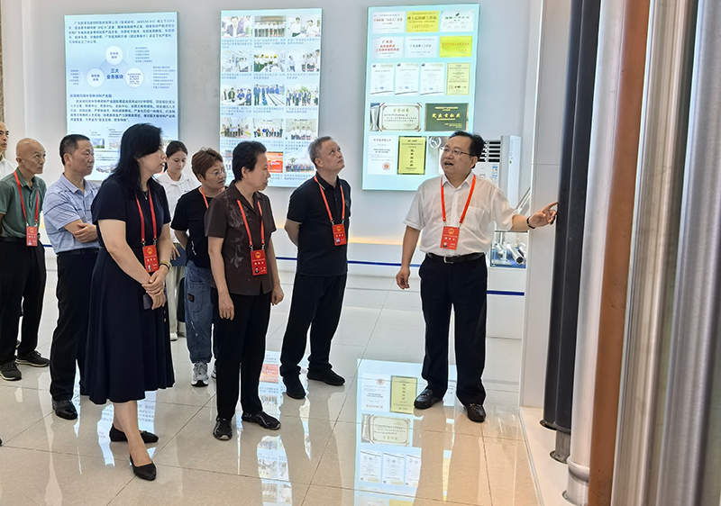 Provincial and Municipal Deputies Conduct Law-Enforcement Inspection at Omat